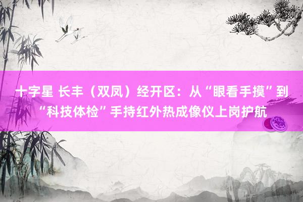 十字星 长丰（双凤）经开区：从“眼看手摸”到“科技体检”手持红外热成像仪上岗护航