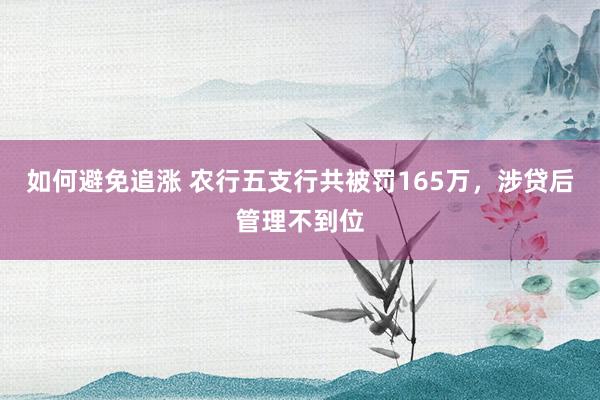 如何避免追涨 农行五支行共被罚165万，涉贷后管理不到位